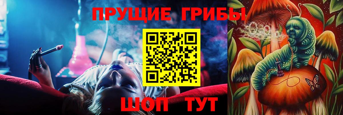 Галлюциногенные грибы Psilocybe Зеленокумск